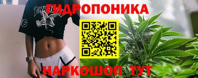 Альфа ПВП Рузаевка