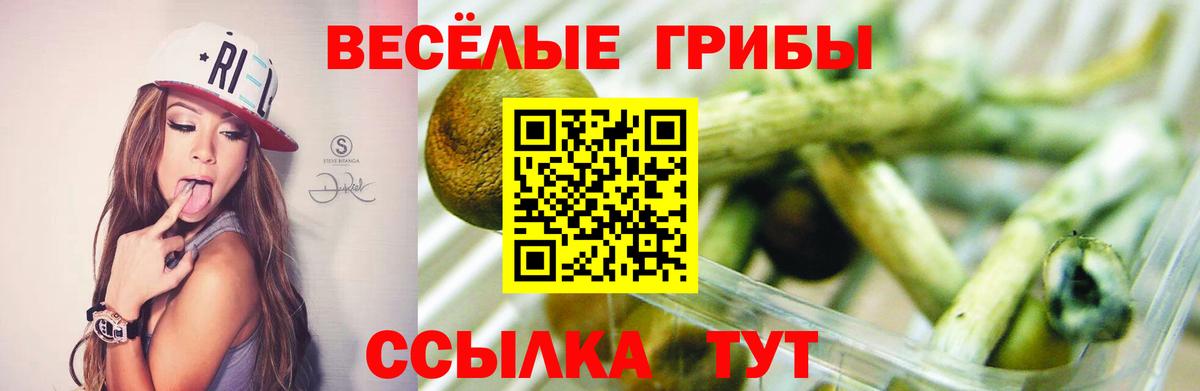Псилоцибиновые грибы MAGIC MUSHROOMS  Вход с VPN  Рославль  Галлюциногенные грибы Cubensis 
